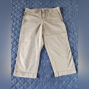 Womens Sonoma Everyday Capri Taupe Sz 12